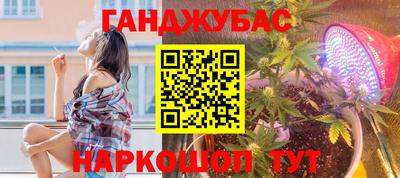 крисы Заводоуковск