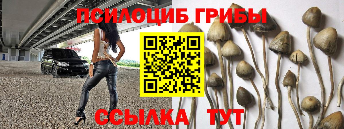 Псилоцибиновые грибы Magic Shrooms  Вход с VPN  Галлюциногенные грибы прущие грибы  продажа наркотиков  Родники 